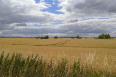 IMG_20180630_124202