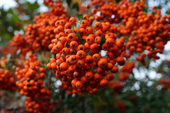 03_DSC01687