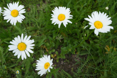 06_DSC02757