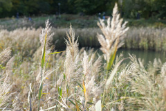 08_DSC01754