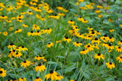 15_DSC00245