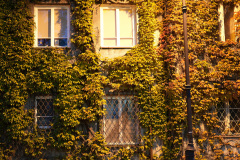 23_DSC01665