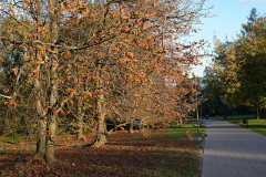 24_DSC01659